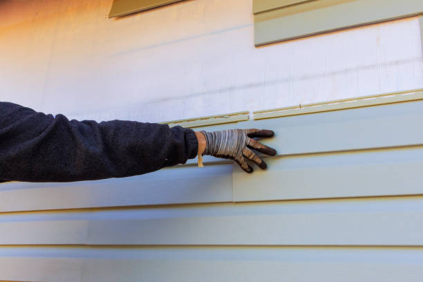 Affordable Siding Repair and Maintenance Services in Blaine, TN